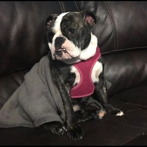 Meet your Posher, Devon